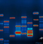 From the first Lorimer Series: Troy Tyler discusses how our genes influence but do not determine our future.